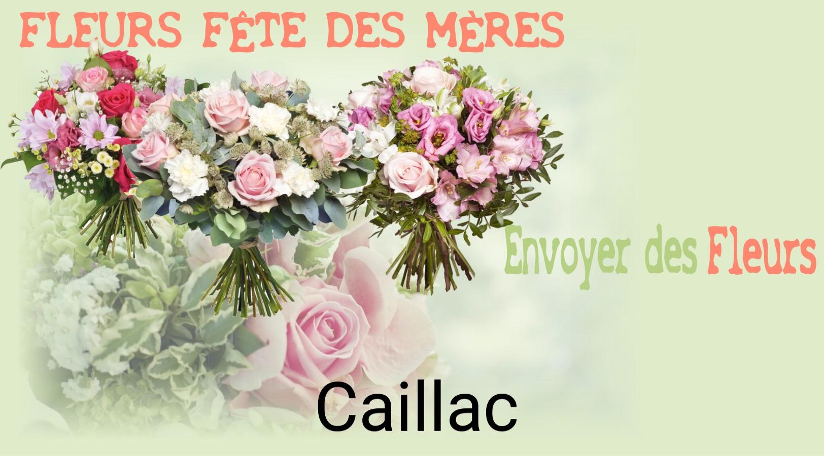 Bouquet de Fête des Mères livré à Caillac